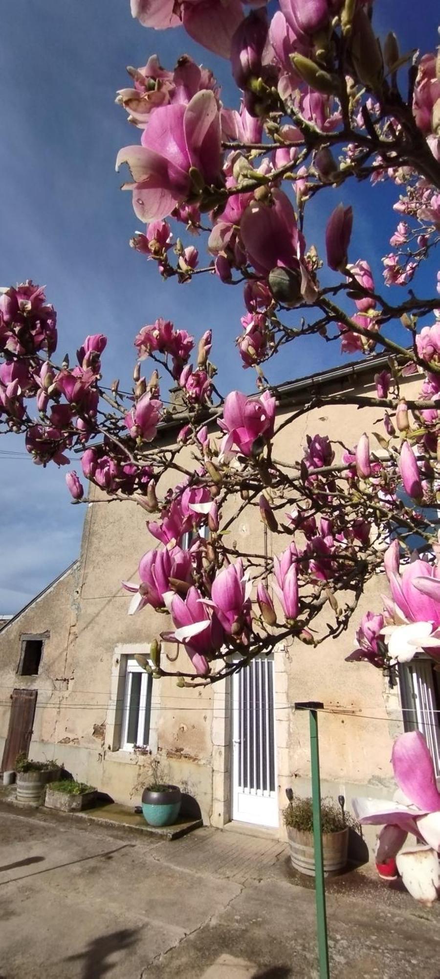 Gite L'Esprit Nature Naucelle Eksteriør bilde