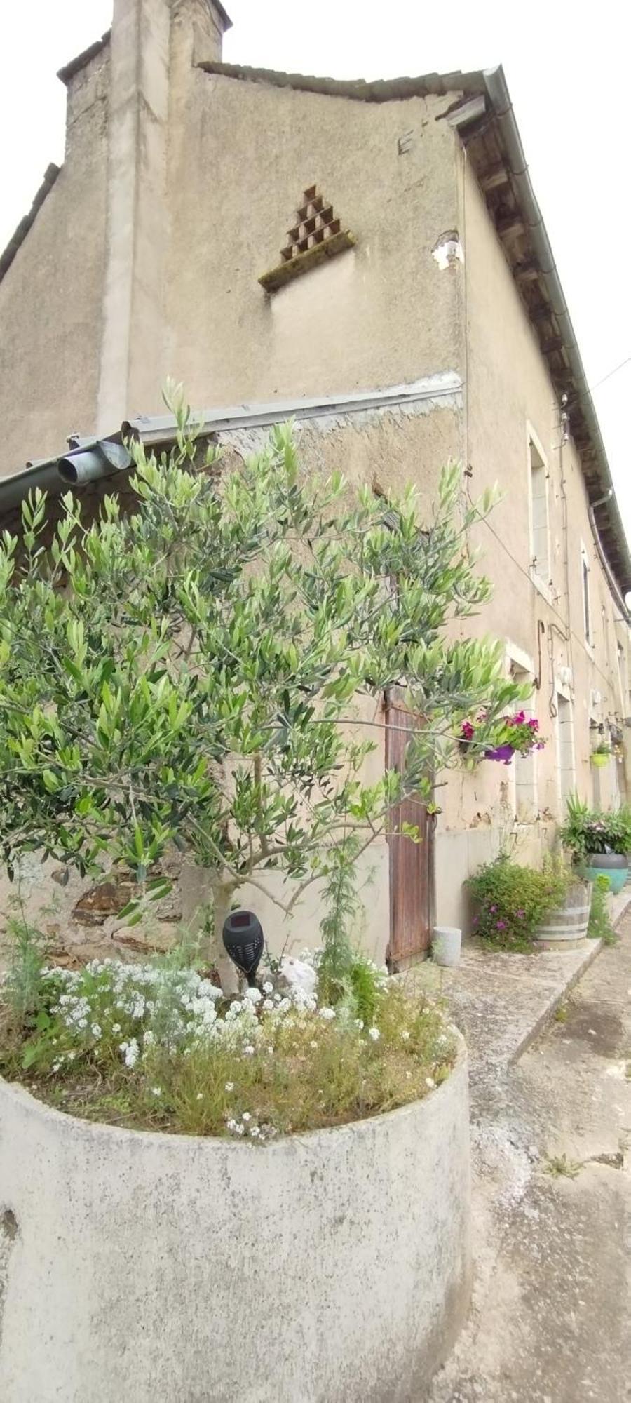 Gite L'Esprit Nature Naucelle Eksteriør bilde