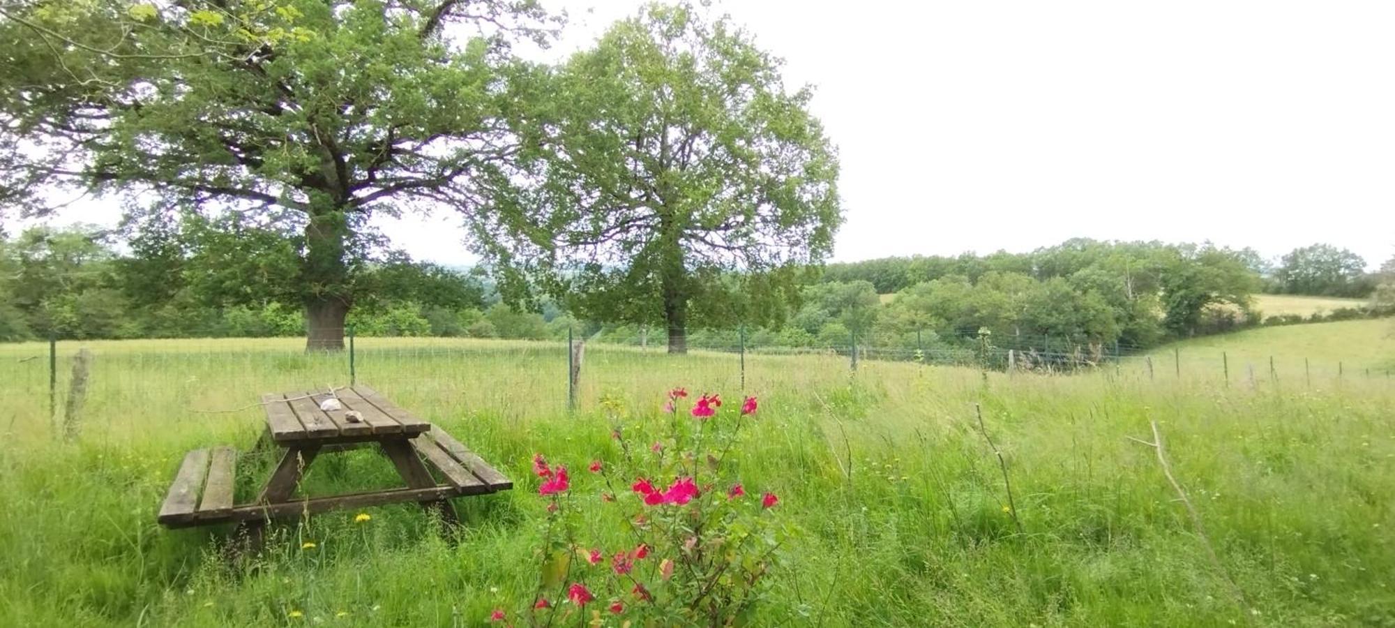 Gite L'Esprit Nature Naucelle Eksteriør bilde